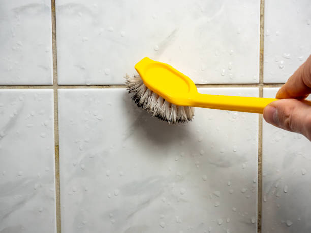 Water Damage Restoration in Homer City, PA